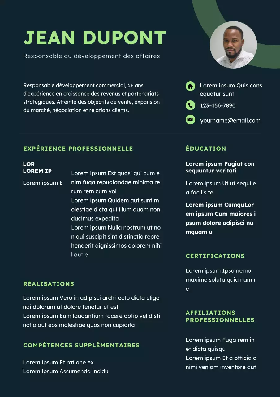 Curriculum vitae d'un responsable du développement des affaires moderne et écologique