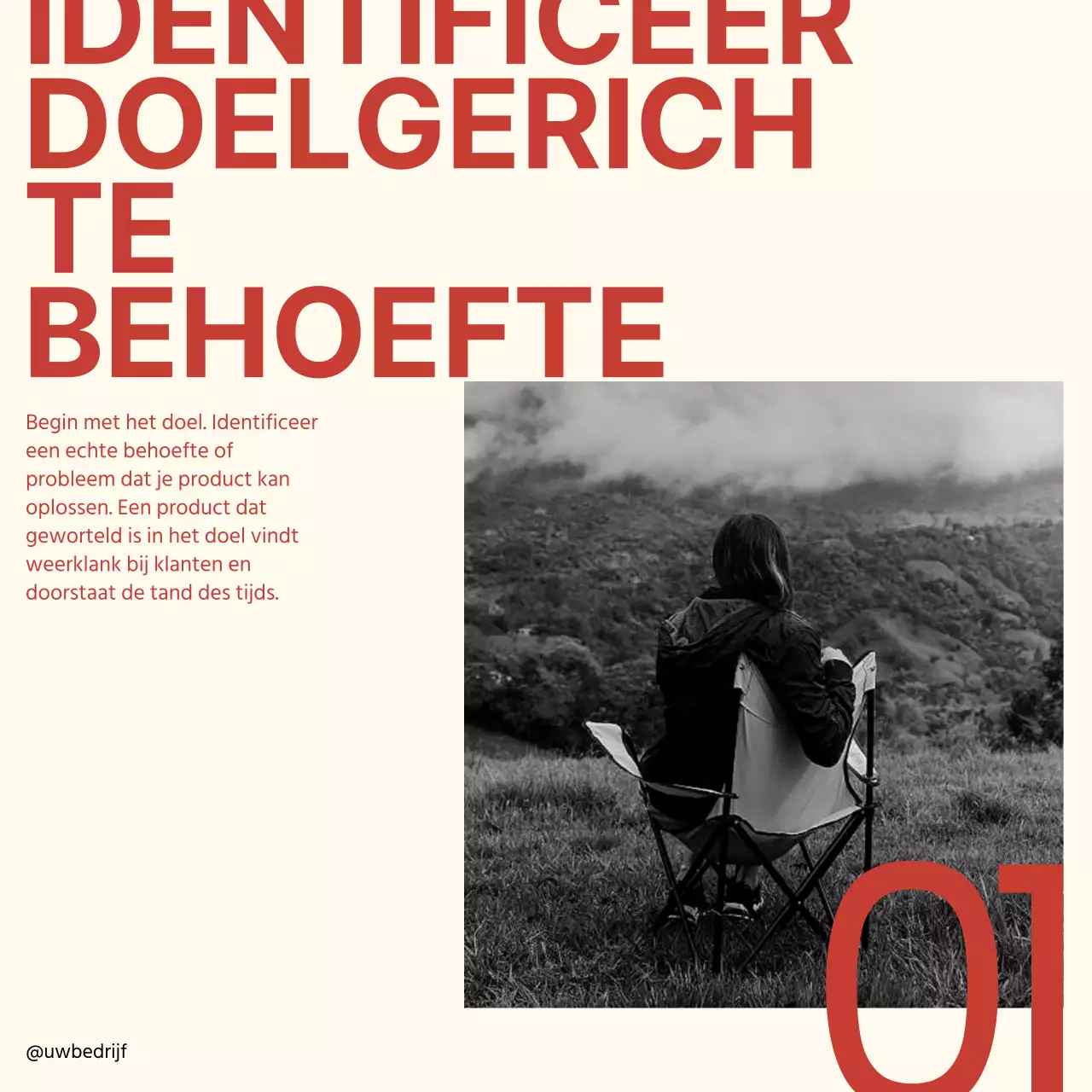 Rood Beige Minimal Bold Gids Ontwikkeling Product Instagram Carrousel Tips Strategie