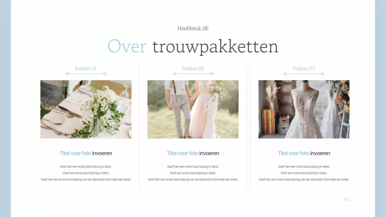 Een eenvoudige huwelijksmarketingprimer in lichtblauw