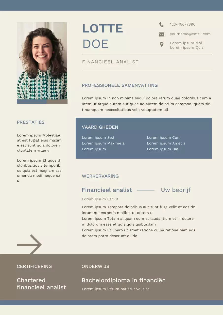 Blauw Modern Financieel Analist CV