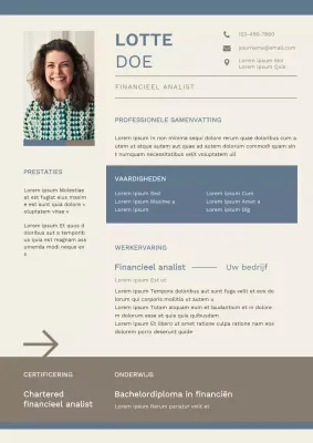 Blauw Modern Financieel Analist CV