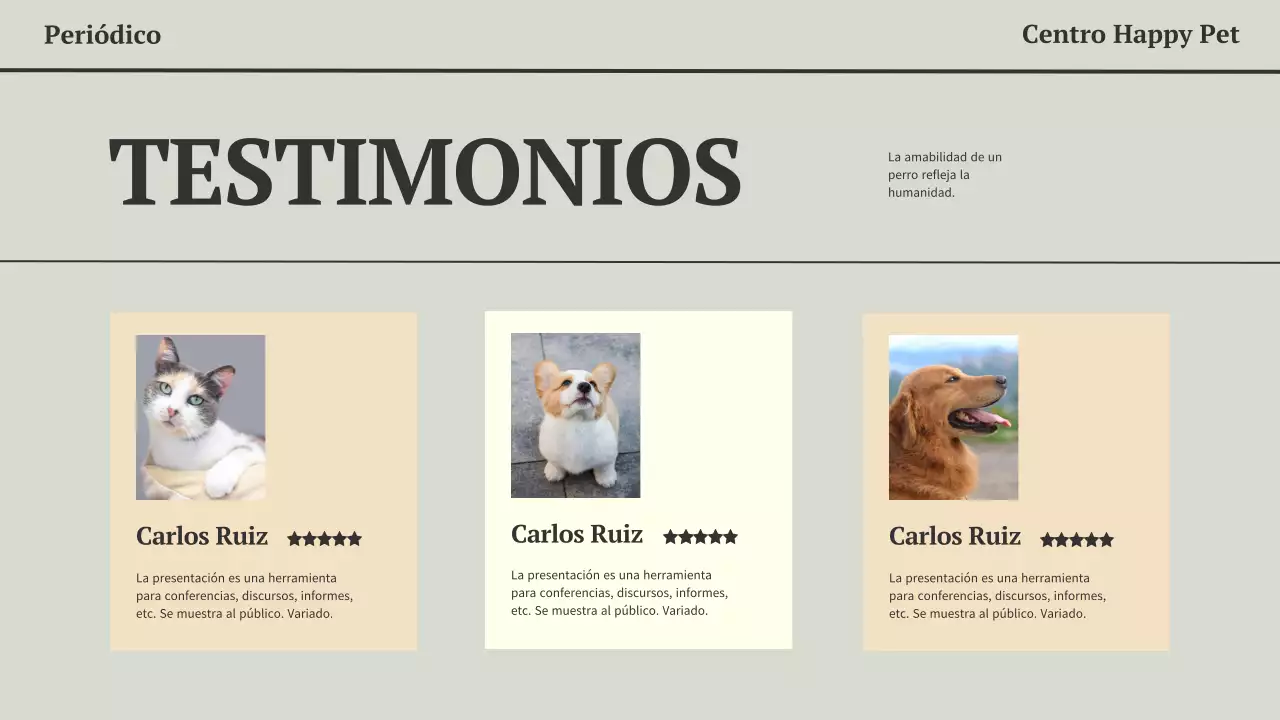 Presentación empresarial minimalista de un periódico moderno en gris y negro