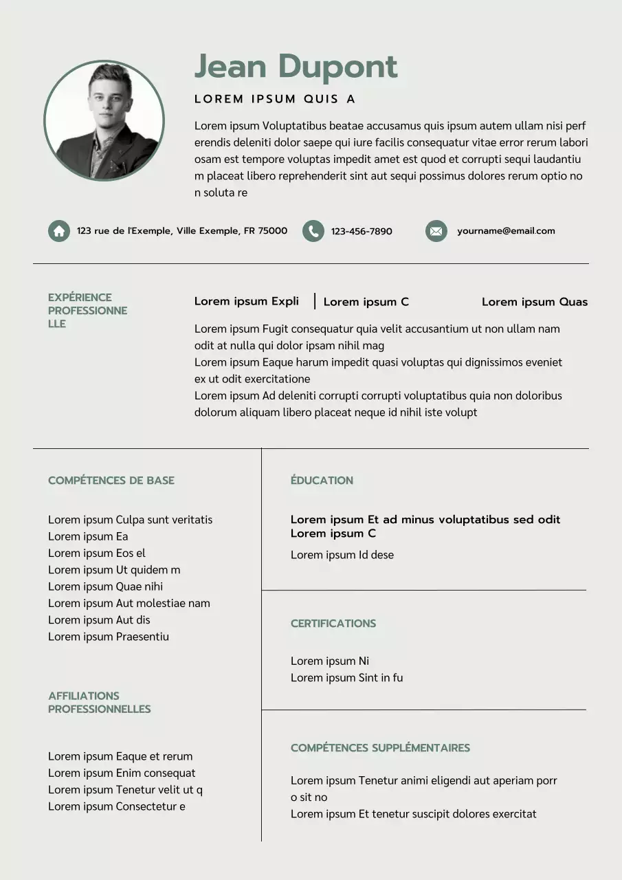 Curriculum vitae minimaliste Ivory d'un directeur du marketing