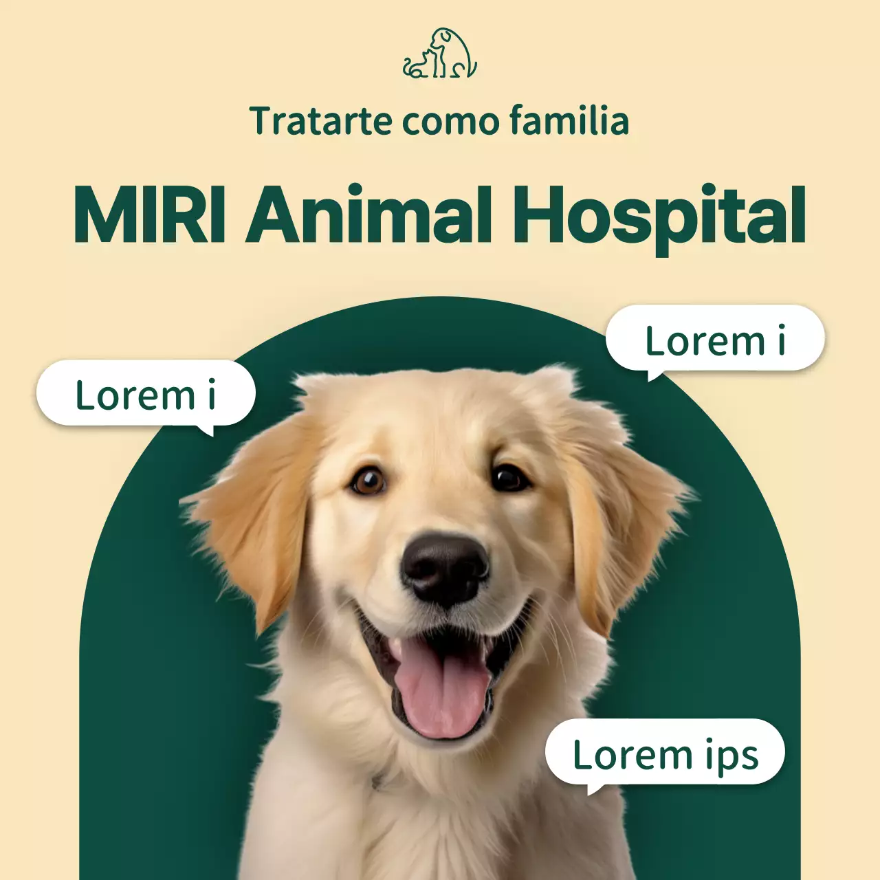 Promueva una acogedora clínica veterinaria en beige