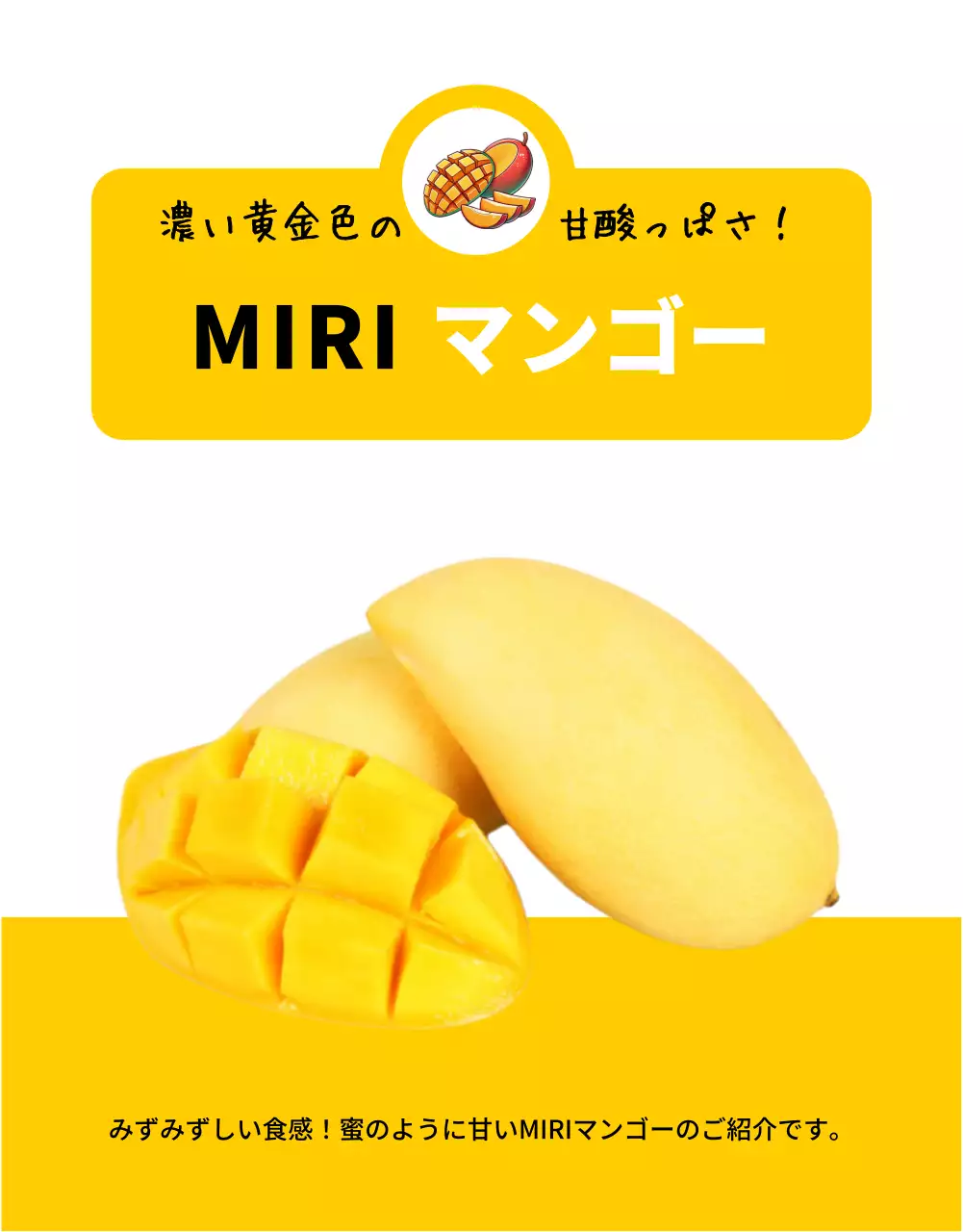 黄色 明るい フルーツ パンフレット 詳細ページ