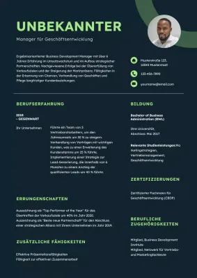 Green Modern Business Development Manager Lebenslauf