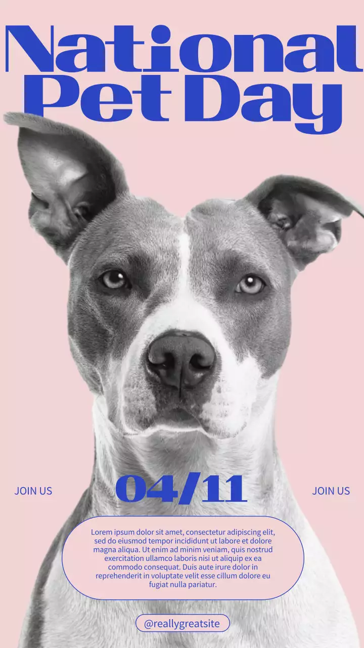 핑크 블루 미니멀 심플 전국 반려동물의 날 공지