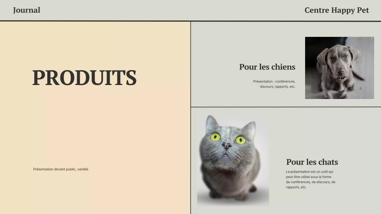 Présentation d'affaires des journaux gris et noirs, minimaliste et moderne