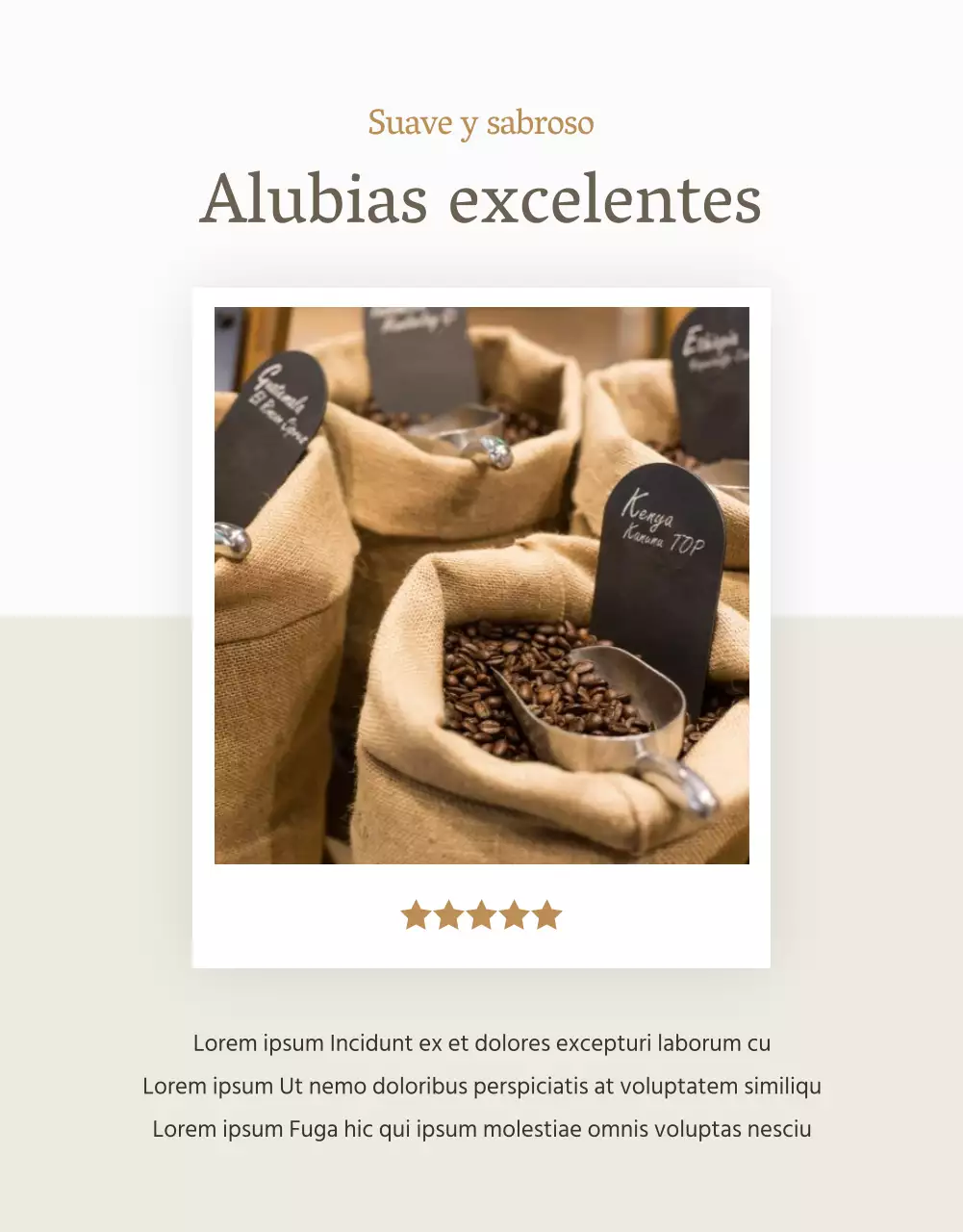 Café holandés moderno en beige y marfil explicado