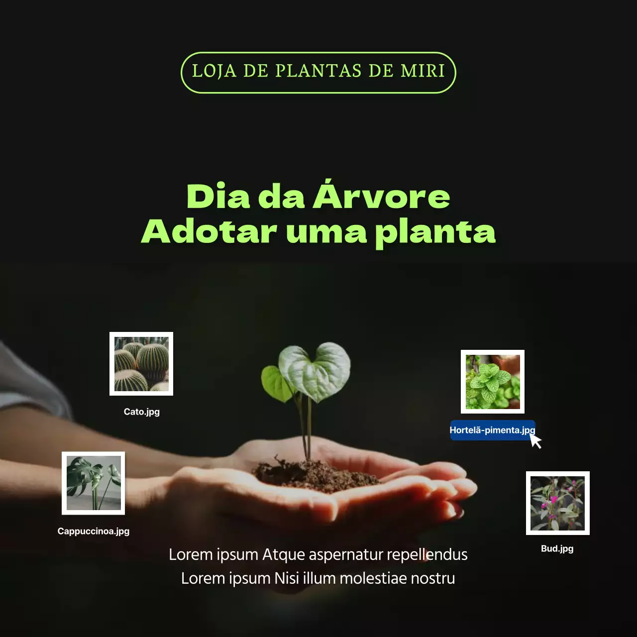 Promover descontos em plantas para animais de estimação no Dia da Árvore, em preto e azul-escuro