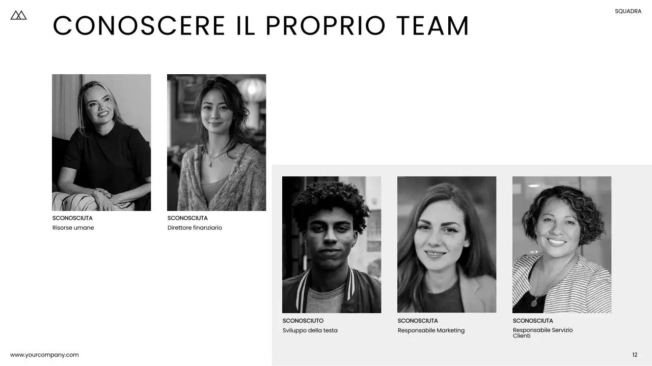 Bianco e nero Minimal Simple Business Product Pitch