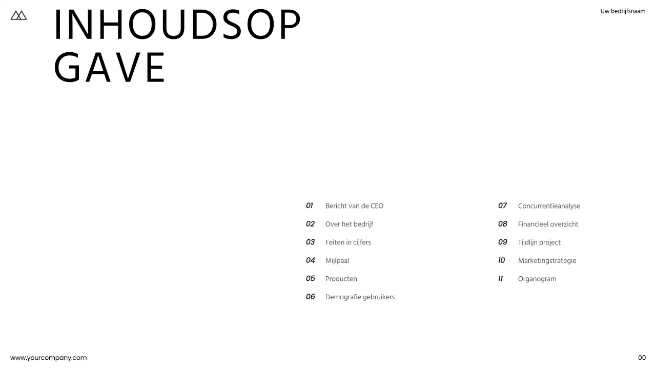 Zwart-wit eenvoudige zakelijke product pitch