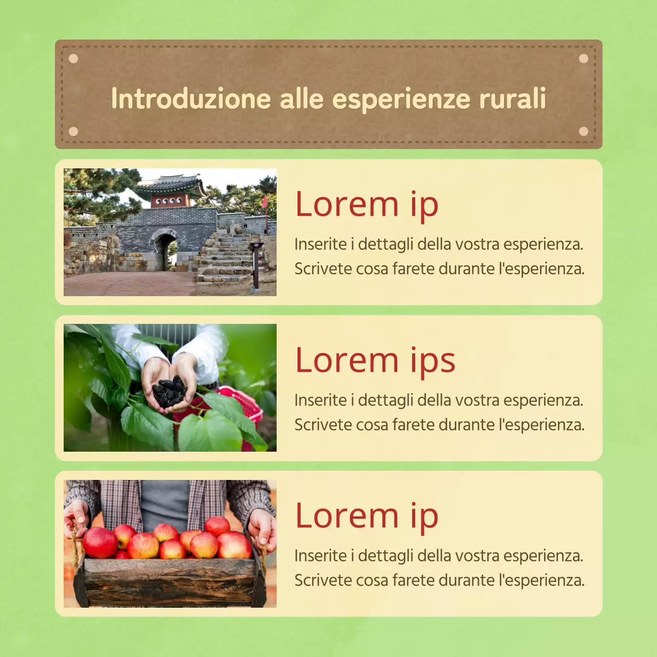 Promuovete il programma del villaggio di esperienza rurale semplice in azzurro e chartreuse