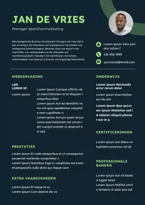 Green Modern Business Development Manager CV