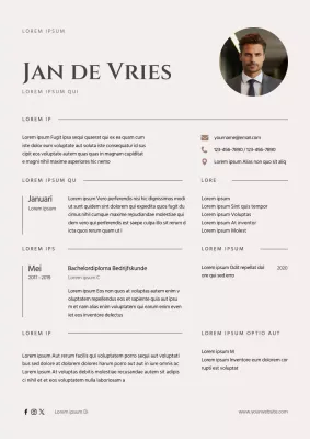 Crème Minimaal Bedrijfsanalist CV