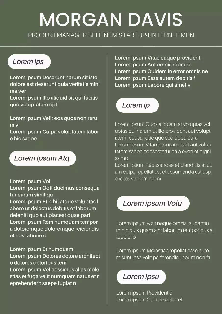 Khaki und Weiß Modern Product Manager Lebenslauf Einleitung