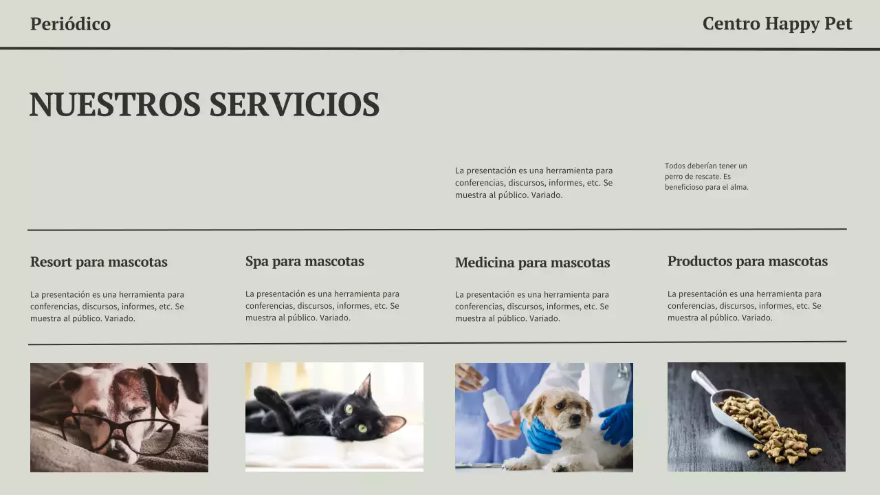 Presentación empresarial minimalista de un periódico moderno en gris y negro