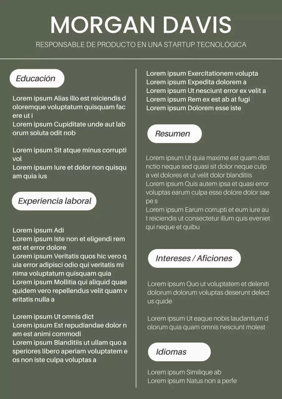 Caqui y Blanco Moderno Director de Producto Curriculum Introducción