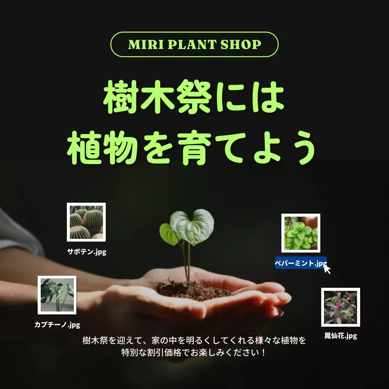 黒 シンプル 植物 ポスター Instagram投稿