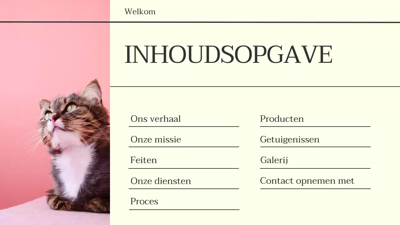 Grijze en zwarte minimalistische moderne zakelijke krantenpresentatie