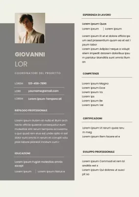 Curriculum moderno del coordinatore di progetto grigio