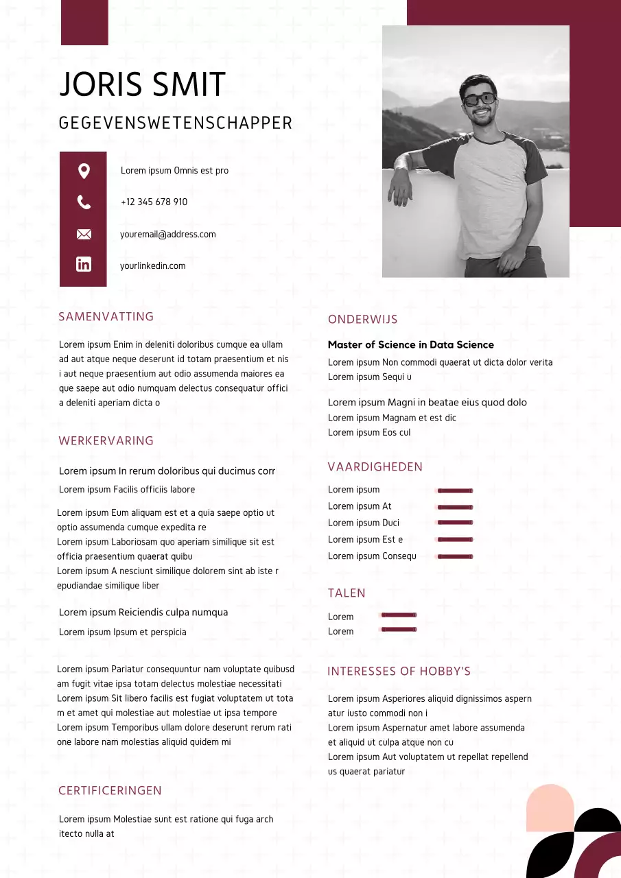 Wit en rood modern datawetenschappers cv