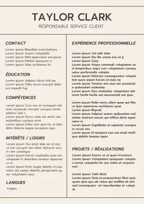 Beige et gris Minimal Customer Service Manager Aesthetic Resume Introduction