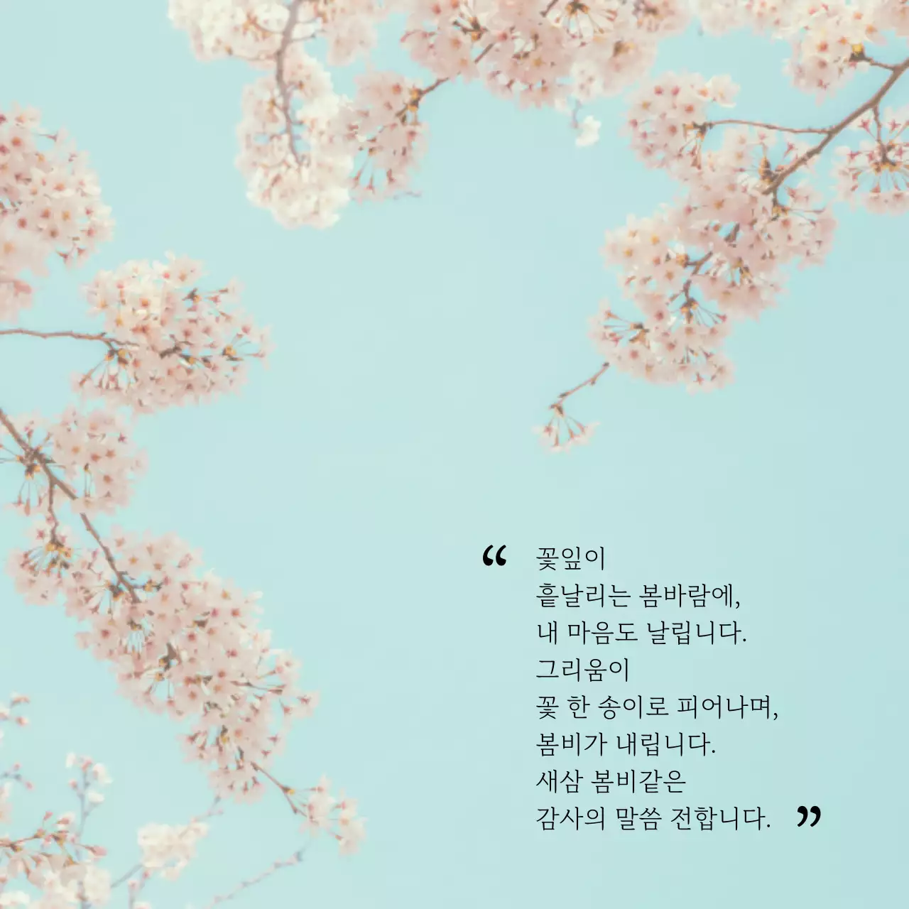 하늘색과 핑크의 단순한 감사의 달 게시글