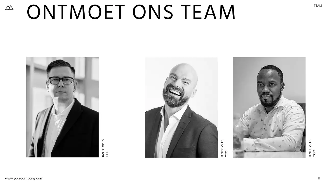 Zwart-wit eenvoudige zakelijke product pitch