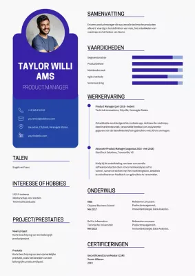 Blauw Modern Product Manager CV