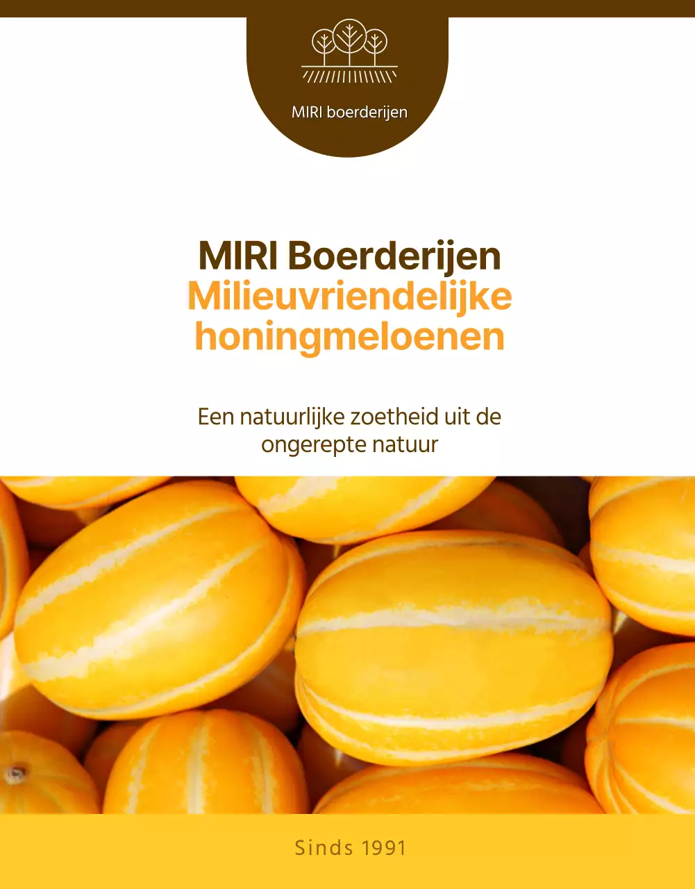 Eenvoudige promotie voor gele meloen