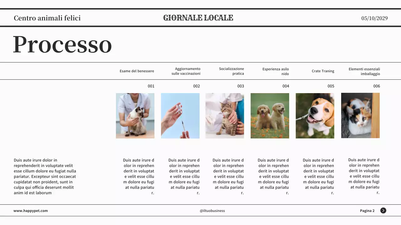 Grigio minimalista classico giornale presentazione aziendale