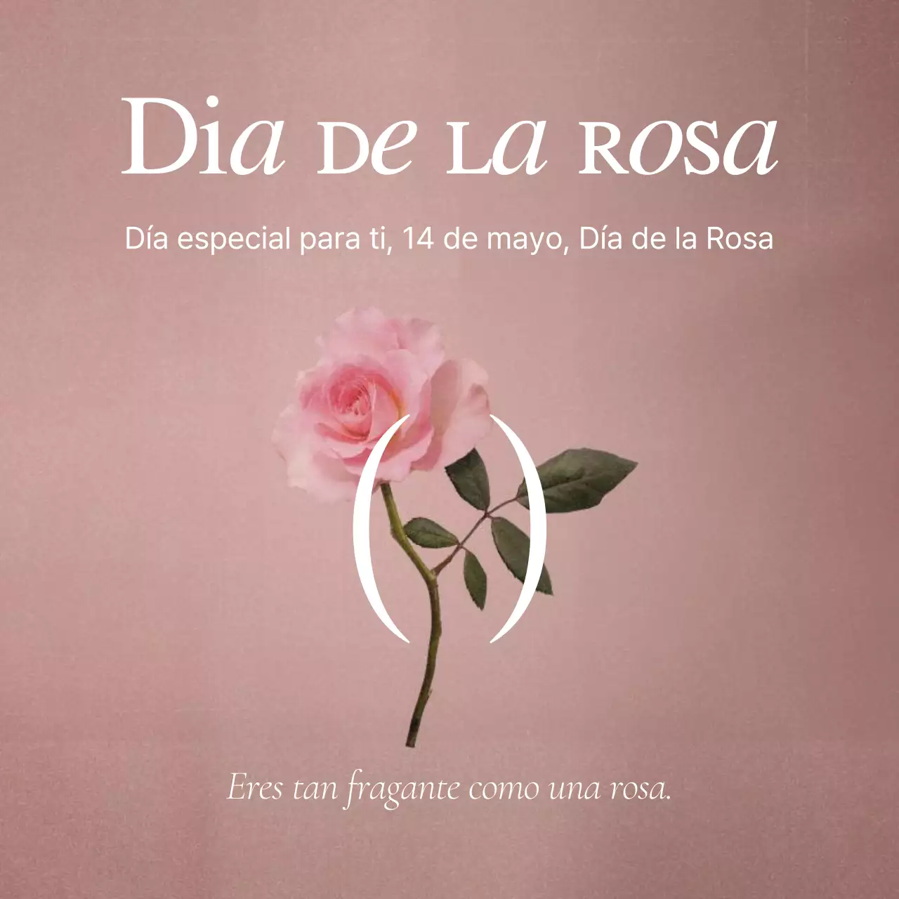 Un post sentimental del Día de la Rosa en rosa y blanco
