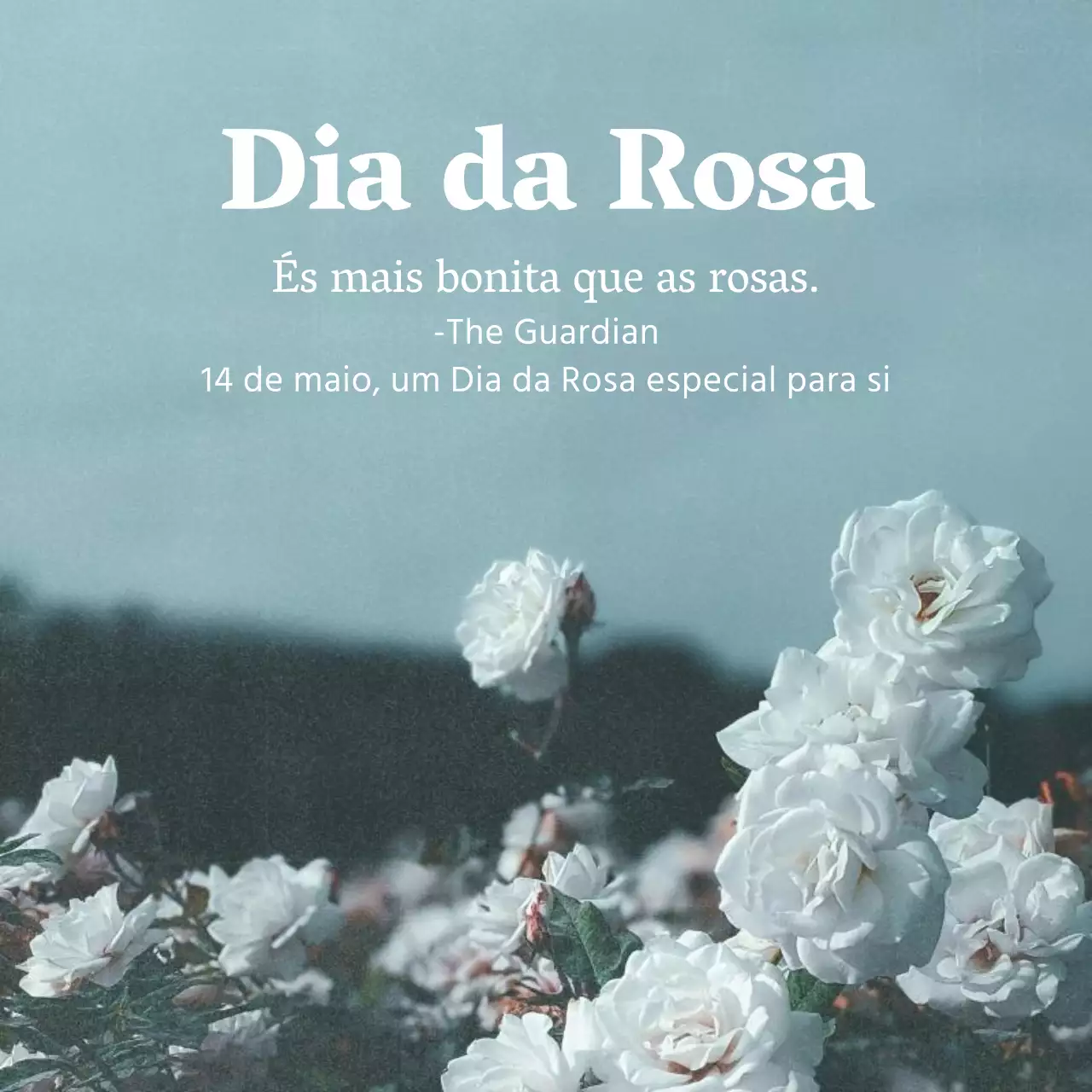 Um post sentimental sobre o Dia das Rosas em azul claro e branco