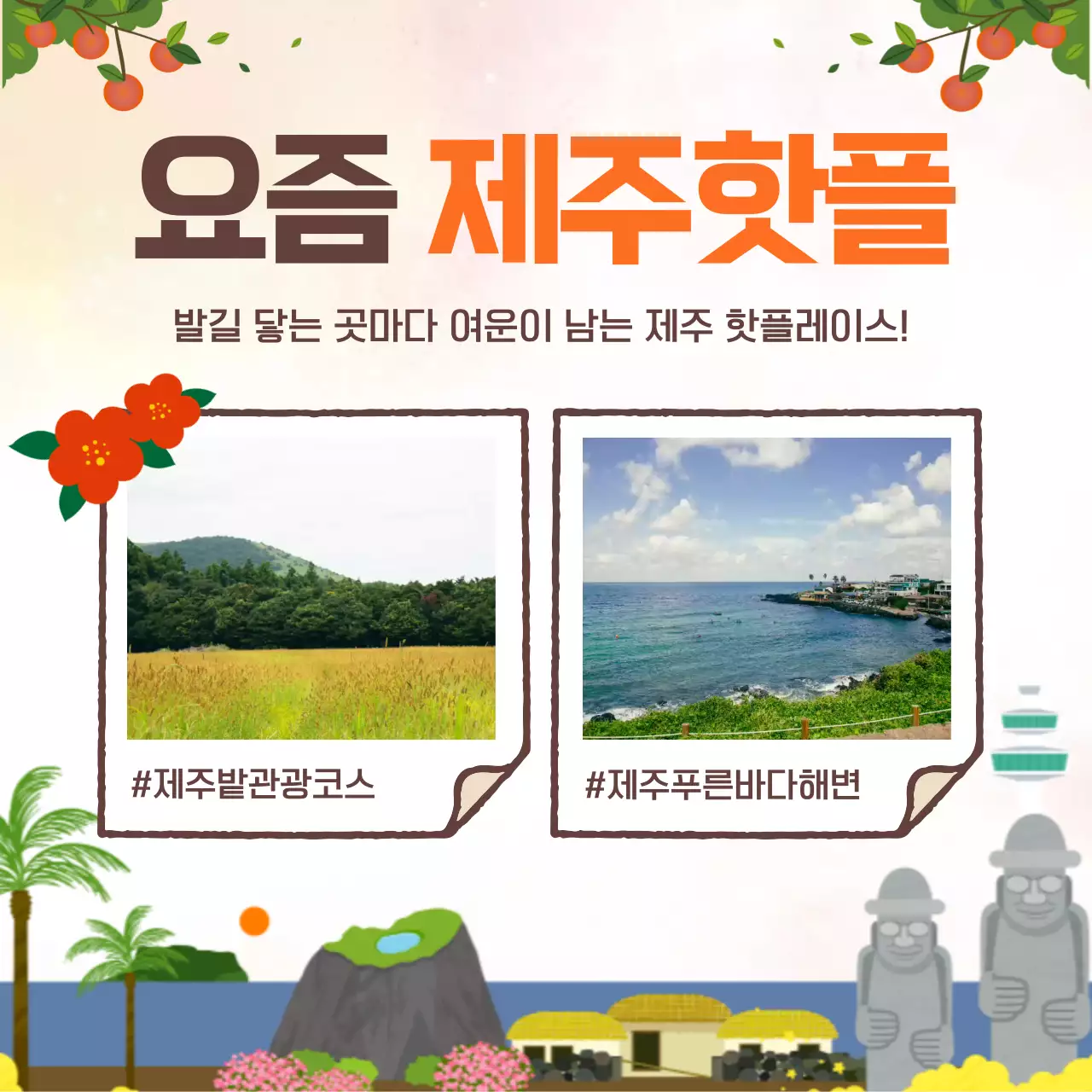 주황색의 자연느낌 지역별 제주여행 정보