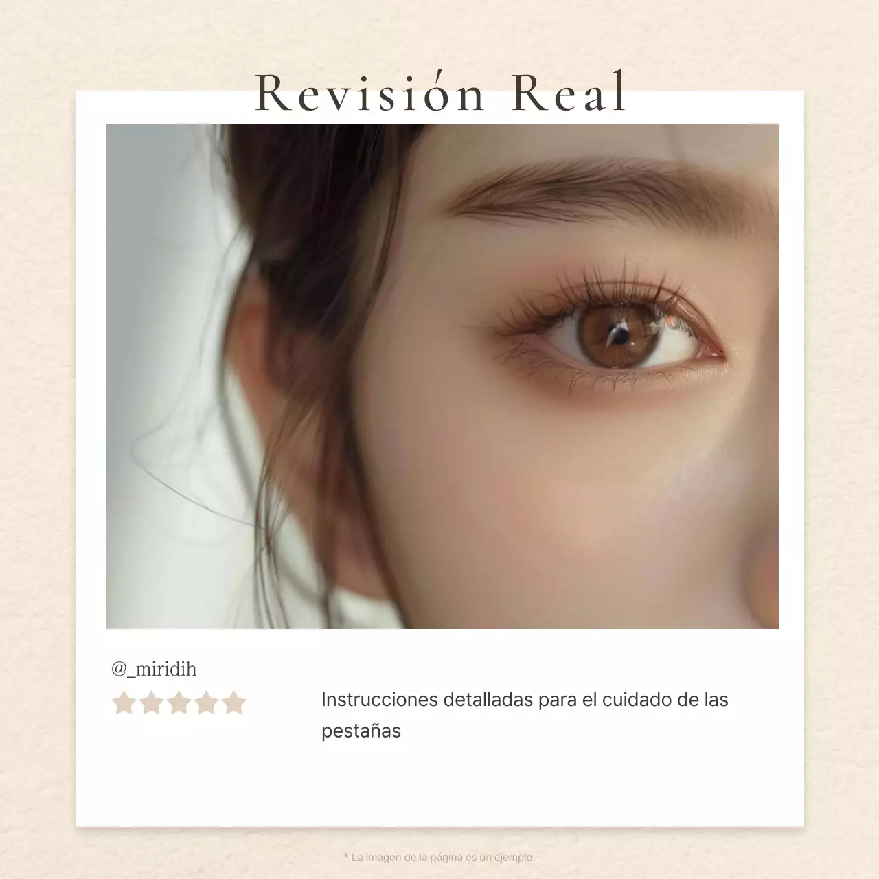 Promueva la belleza moderna de las pestañas en marrones y beiges