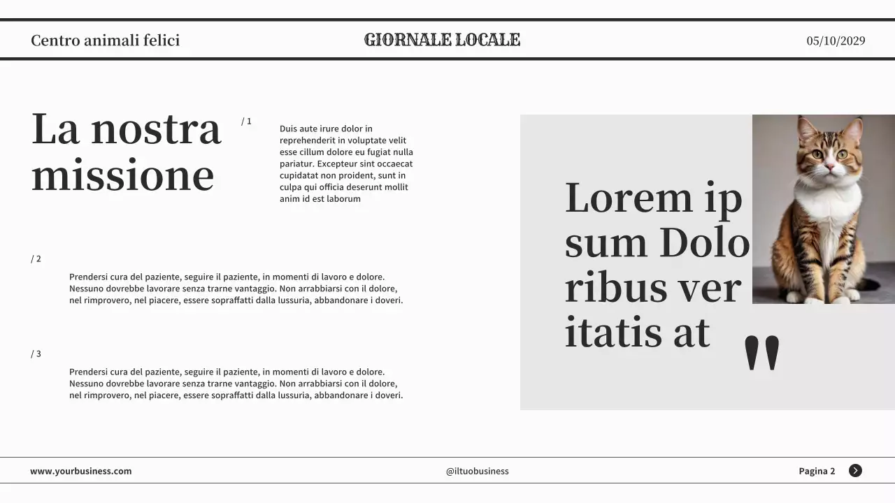 Grigio minimalista classico giornale presentazione aziendale
