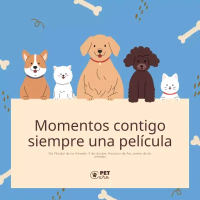 Bonito y sentimental anuncio de servicio de cuidado de mascotas en azul y beige