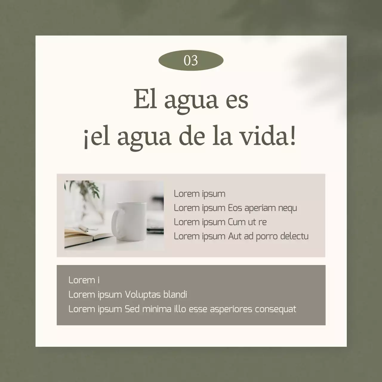 Promoción de una dieta sencilla de medicina china en caqui y beige