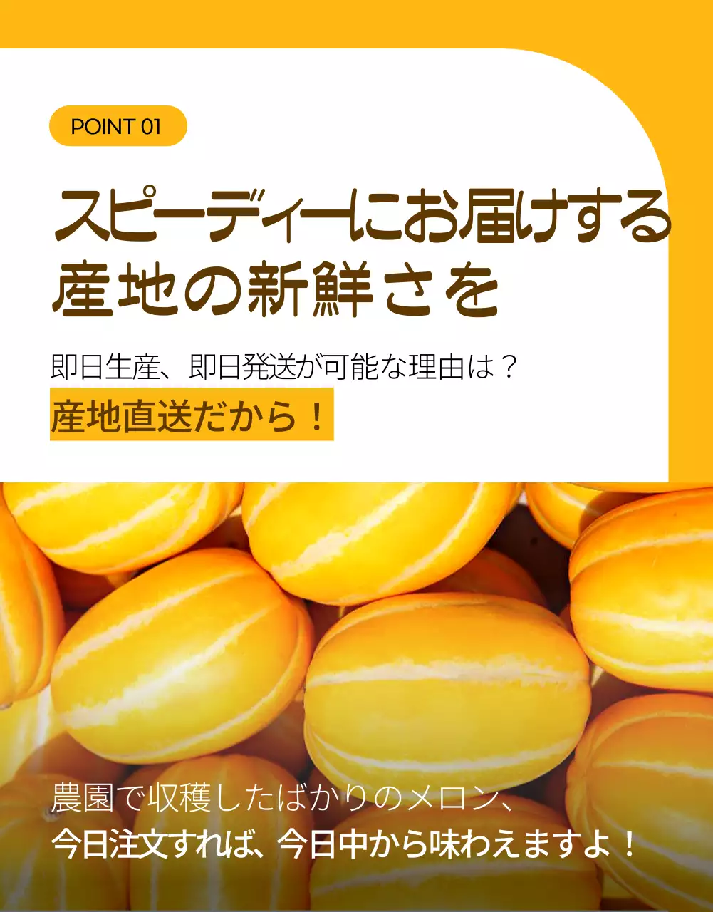 黄色 オーガニック メロン チラシ 詳細ページ