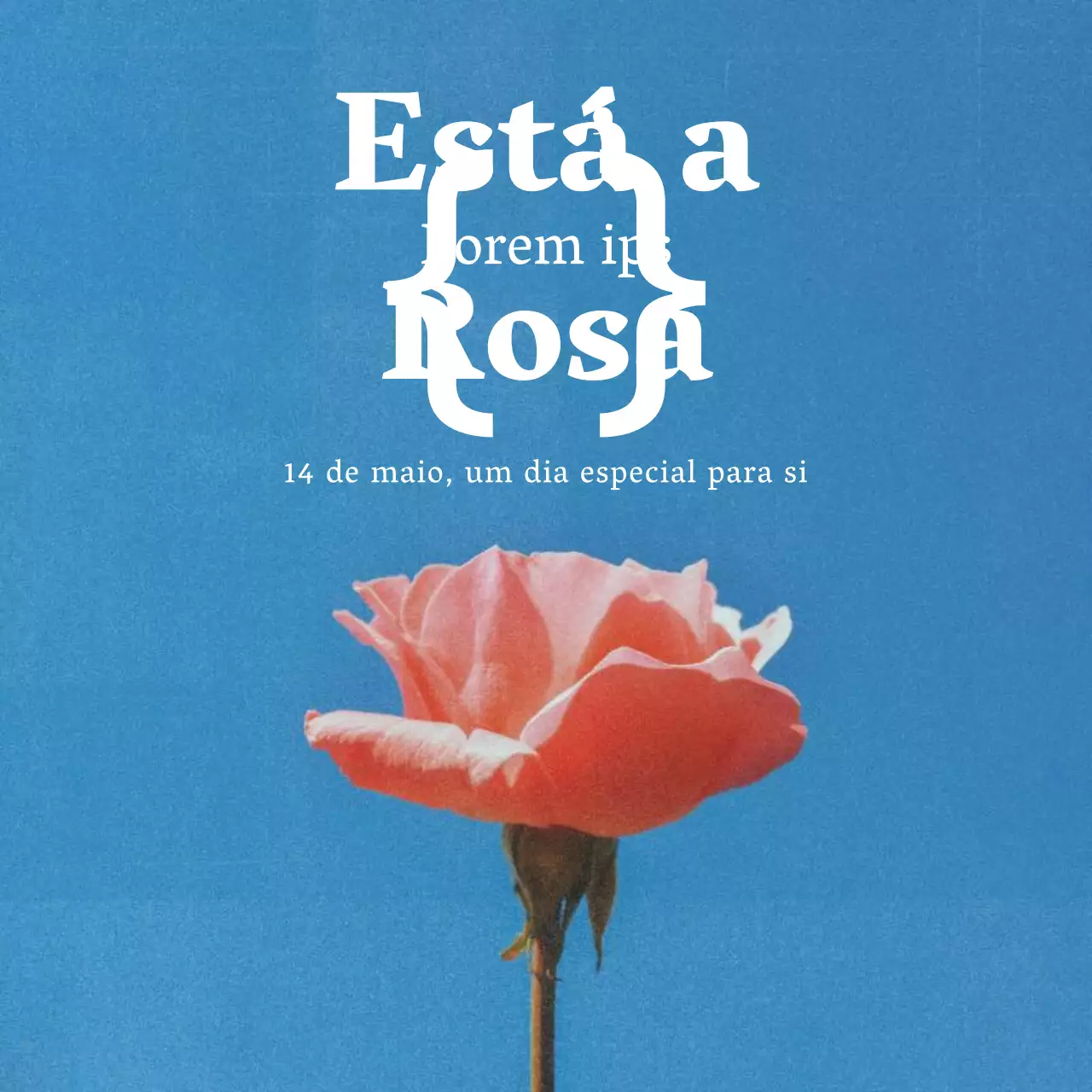 Um post sentimental sobre o Dia das Rosas em rosa e azul claro