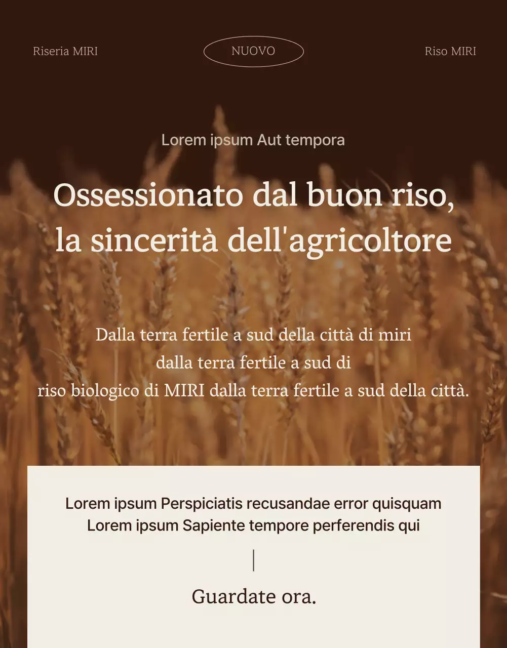 Un'introduzione moderna al riso biologico integrale e avorio