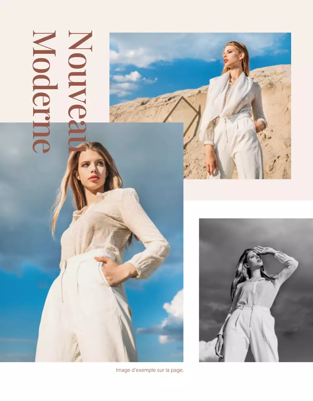 Promouvoir un centre commercial moderne en rose et marron