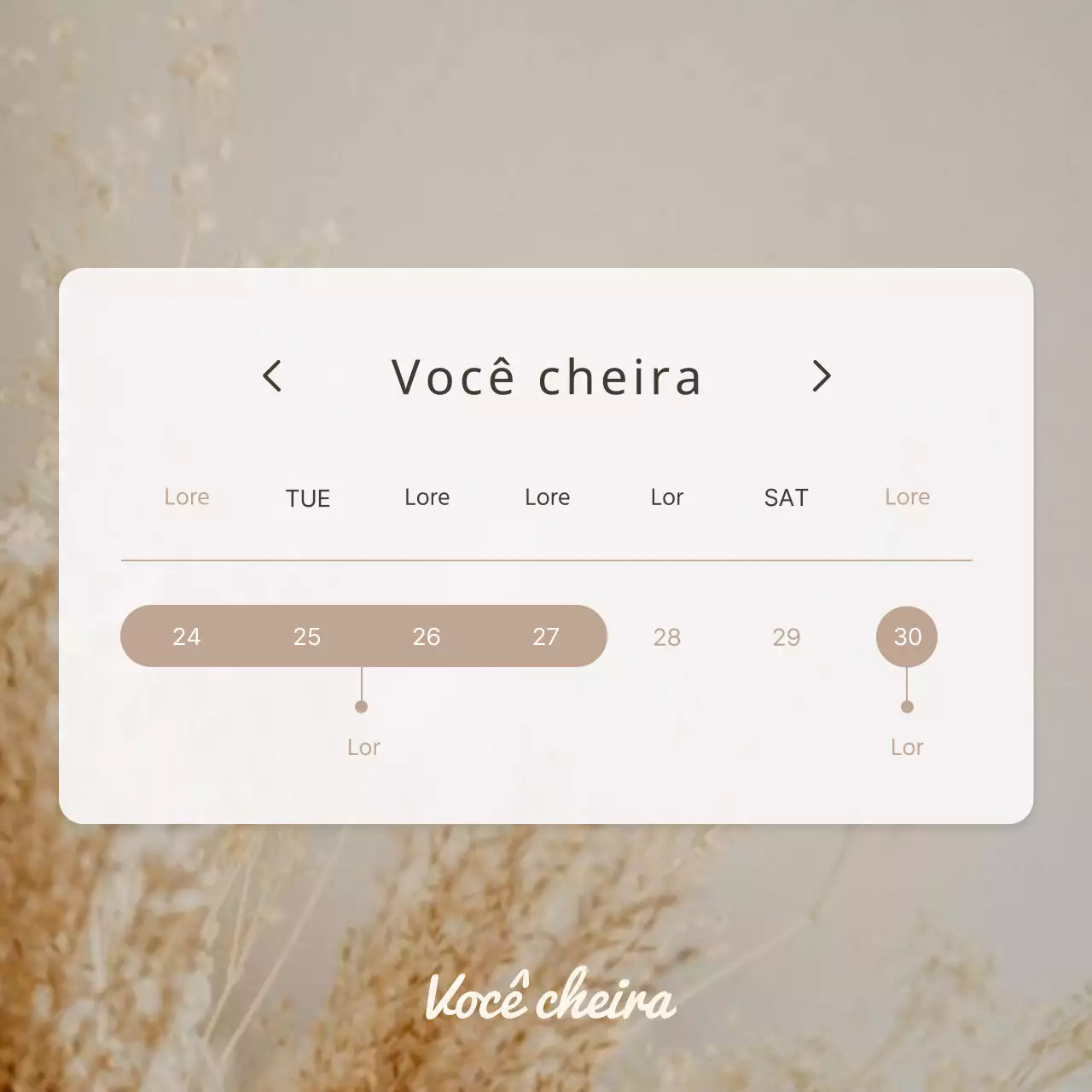 Anúncios modernos com fecho de calendário em castanho e bege