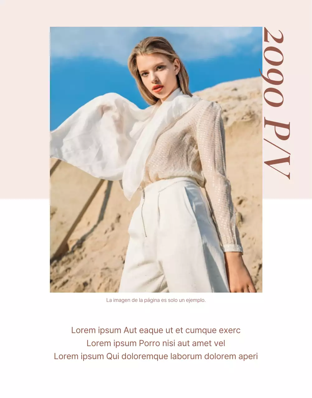 Promociona un moderno centro comercial de moda en rosa y marrón