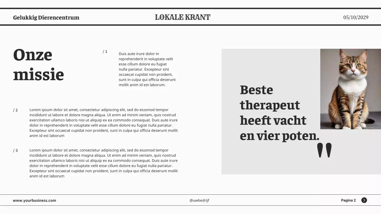 Grijze minimalistische klassieke kranten zakelijke presentatie