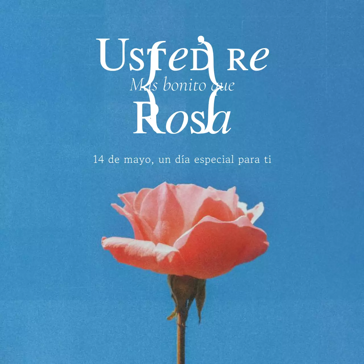 Un post sentimental del Día de la Rosa en rosa y azul claro