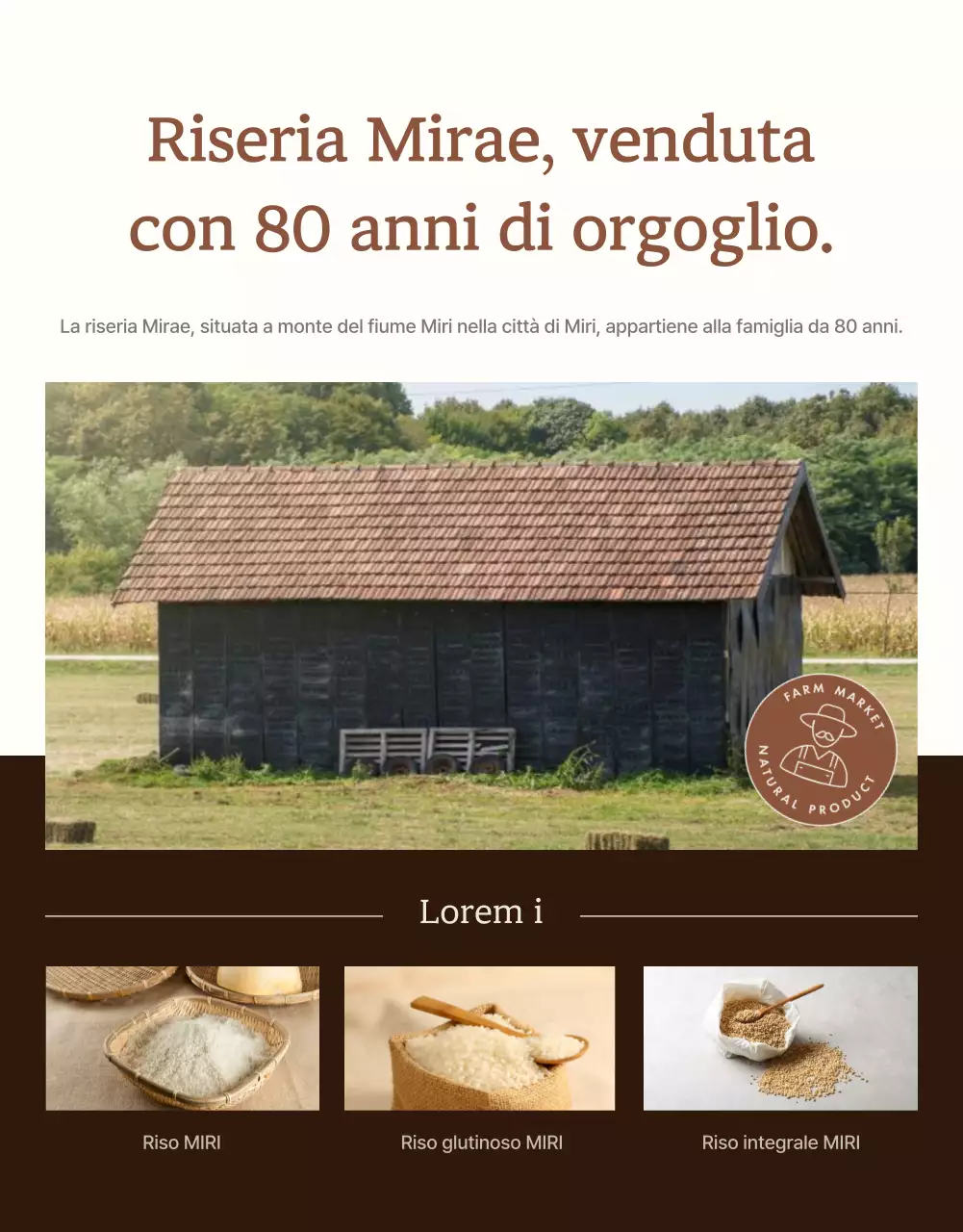 Un'introduzione moderna al riso biologico integrale e avorio