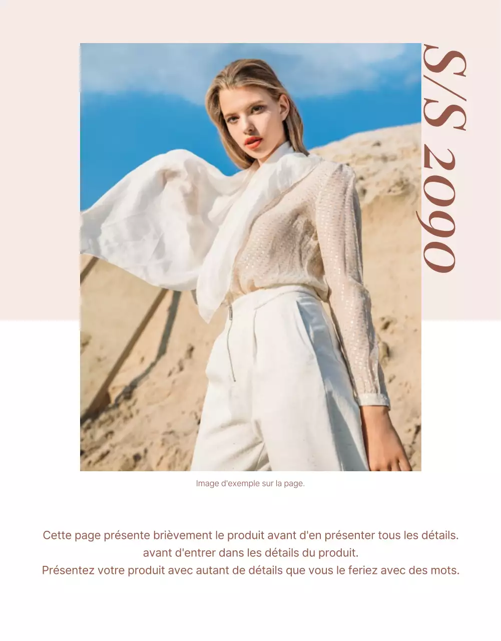 Promouvoir un centre commercial moderne en rose et marron