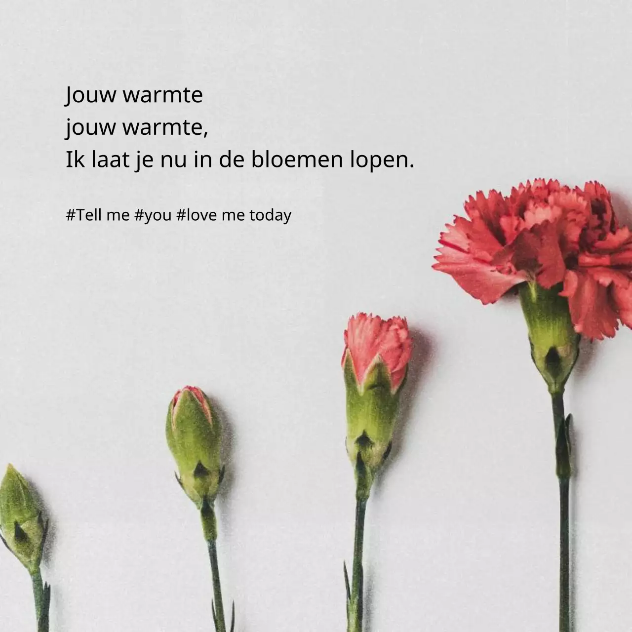 Een sentimentele Thanksgiving-post in wit en roze